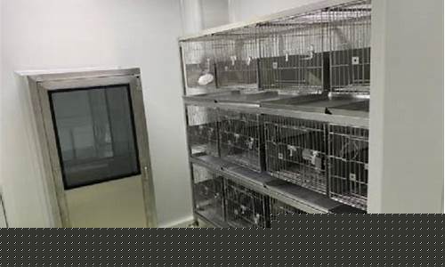 张家港动物房无尘车间装修(张家港动物房无尘车间装修公司)